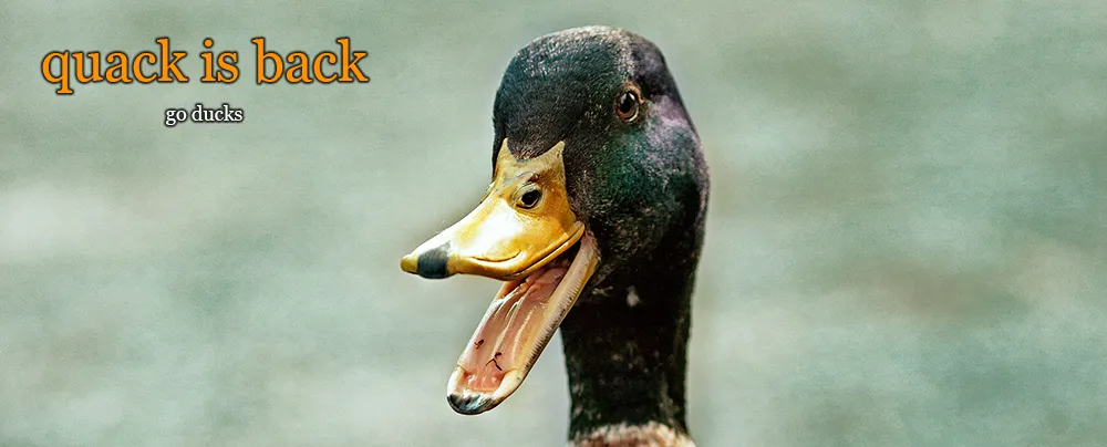 Logo for Quack is Back
